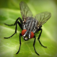 /album/fipqpx/photolia-a01-jpg/