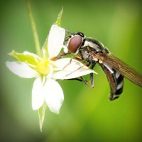 /album/fipqpx/photolia-a02-jpg/