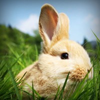 /album/fipqpx/photolia-a03-jpg/