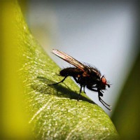 /album/fipqpx/photolia-a04-jpg/