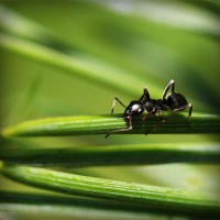 /album/fipqpx/photolia-a05-jpg/