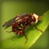 /album/fipqpx/photolia-a06-jpg/