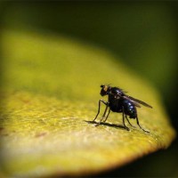 /album/fipqpx/photolia-a07-jpg/