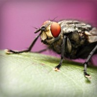 /album/fipqpx/photolia-a08-jpg/